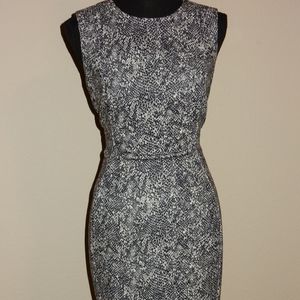 Calvin Klein Sheath Dress